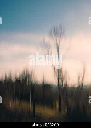 Intentionally blurry autumn, winter countryside landscape. Path through some trees, outdoor walk. Stock Photo
