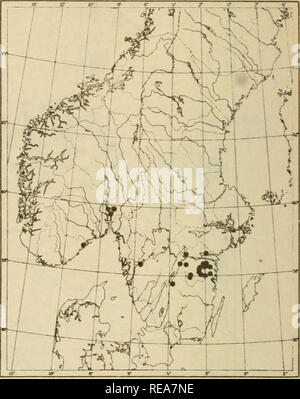. The continental element in the flora of south Sweden. Plants. Map 1. COTONEASTER MELANOCARPA in Scandinavia and Denmark.. Map 2. VICIA PISIFORMIS in the Scandinavian North.. Please note that these images are extracted from scanned page images that may have been digitally enhanced for readability - coloration and appearance of these illustrations may not perfectly resemble the original work.. Sterner, Rikard. Stockholm : Centraltryckeriet Stock Photo