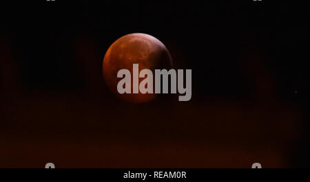 Brighton UK 21st January 2019 - Stargazers get a good view of the super blood wolf moon from Queens Park in Brighton early this morning as the Lunar Eclipse 2019 takes place over Britain . There will not be a similar view for another ten years as a total lunar eclipse occurs when the Earth passes exactly between the Sun and the Moon creating a shadow which stops solar rays reaching the lunar surface Credit: Simon Dack/Ģ����ý Live News Stock Photo