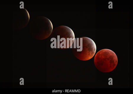 A full red "Blood Moon" Lunar Eclipse, Bexley, South East London, UK. A five image stacked composite of images taken between 4.30am and 5.12am on the 21st January 2019. Showing the full eclipse in the final image on right.  Credit: Steve Hickey/Ģ����ý Live News  Credit: Steve Hickey/Ģ����ý Live News Stock Photo