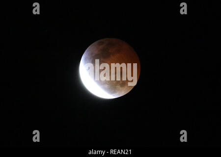 Los Angeles, California, USA. 20th January, 2019. The lunar eclipse and blood moon as seen from Los Angeles on January 20, 2019.  Credit: Sheri Determan Credit: Sheri Determan/Ģ����ý Live News Stock Photo