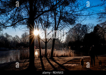 Hannover, Germany. 21st Jan, 2019. A man takes his dogs out early in the morning at the Maschpark in Hanover. Credit: Peter Steffen/dpa/Alamy Live News Stock Photo
