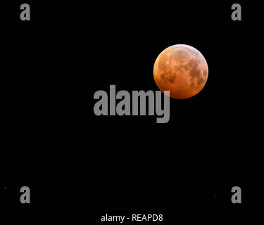 OUDDORP, THE NETHERLANDS - JANUARI 21, 2019: The total lunar eclipse, the super bloodmoon and wolf moon on Januari 21, 2019 in the Netherlands was clearly visible. Credit: Corine van Kapel/Alamy Live News Stock Photo