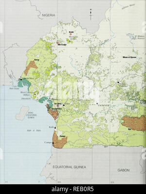 . The Conservation Atlas of Tropical Forests: Africa. Cameroon. 114. Please note that these images are extracted from scanned page images that may have been digitally enhanced for readability - coloration and appearance of these illustrations may not perfectly resemble the original work.. Sayer, J. A. , Harcourt, C. S. , Collins, N. M.. IUCN Stock Photo