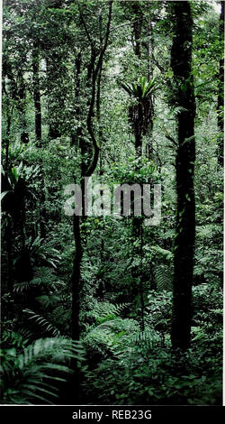 . The Conservation Atlas of Tropical Forests: Asia and the Pacific. Introduction. In Java, both ram and monsoon forests are to be found, but only m relict patches. The nch soils of Java were deforested long ago. WWF/Tom Moss Forest Cover Technically, forests are defined as 'woody vegetation with a closed tree canopy' and woodlands as 'woody vegetation with an open tree canopy'. The division, which we follow, is commonly drawn at 40 per cent canopy cover. The maps in this atlas do not show open canopy woodlands and do not include forest plantations or areas of shifting cultivation where these a