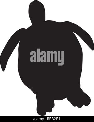 vector illustration of a sea turtle isolated on white background. Stock Vector