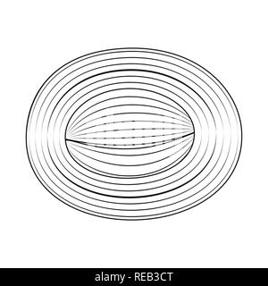 eye,filaments,extraocular,diagram,biology,medical,eyeball,ophthalmology,organ,muscle,cells,tissue,anatomy,skeletal,structure,fiber,muscular,human,body,set,vector,icon,illustration,isolated,collection,design,element,graphic,sign,outline,line, Vector Vectors , Stock Vector