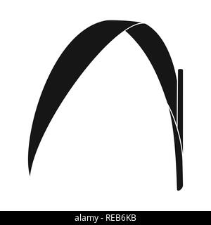 leaf,green,raw,material,stock,natural,eco,photosynthesis,sugarcane,cane