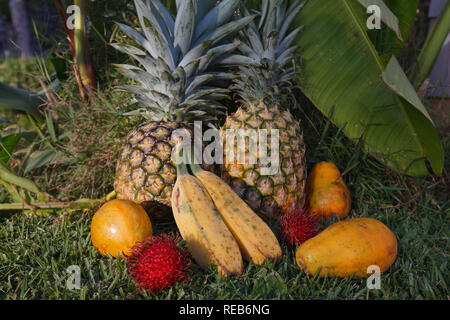 Tropical Fruits in Kauai, Hawaii Stock Photo