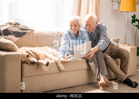 Full length portrait of modern senior couple video chatting via laptop and showing dog sitting  on couch at home, copy space Stock Photo