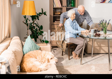 Full length portrait of modern senior couple using laptop sitting at table at home with pet dog in foreground, copy space Stock Photo