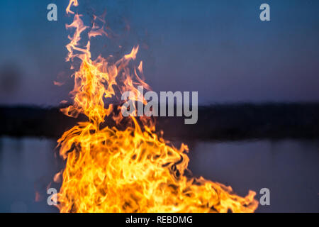 The flames of the fire burning the herb in the evening field, turning into coals and ashes with smoke Stock Photo