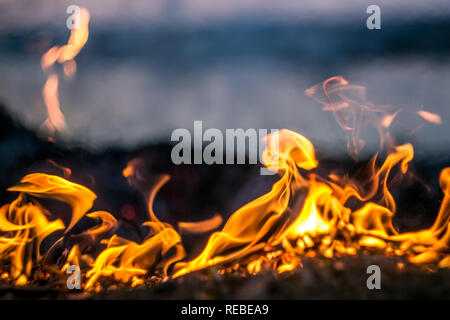 The flames of the fire burning the herb in the evening field, turning into coals and ashes with smoke Stock Photo
