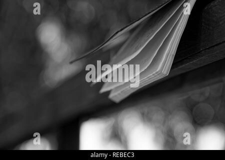Wind turns Monochrome pages of open Notebook lies on wooden handrail in park, business concept. Stock Photo