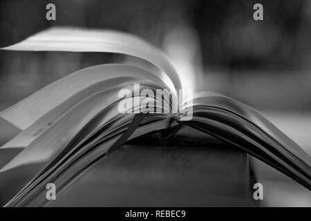 Wind turns Monochrome pages of open Notebook lies on wooden handrail in park, business concept. Stock Photo