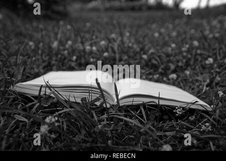 Monochrome Open notepad on the green grass in park. Stock Photo