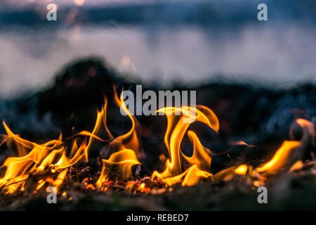 The flames of the fire burning the herb in the evening field, turning into coals and ashes with smoke Stock Photo