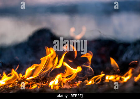 The flames of the fire burning the herb in the evening field, turning into coals and ashes with smoke Stock Photo