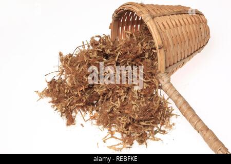 Dried blossoms of a Persian Silk Tree (Albizia julibrissin), medicinal plant, He Huan Hua Stock Photo