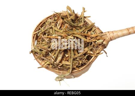 Dried leaves of the medicinal plant Fringed Pink, Superb Pink, (Dianthus superbus), Qu mai Stock Photo