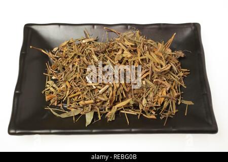 Dried leaves of the medicinal plant Fringed Pink, Superb Pink, (Dianthus superbus), Qu mai Stock Photo