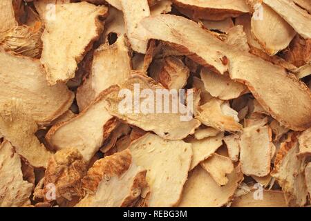 Medicinal plant Common Anemarrhena (Anemarrhena asphodeloides), Zhi Mu, dried roots Stock Photo