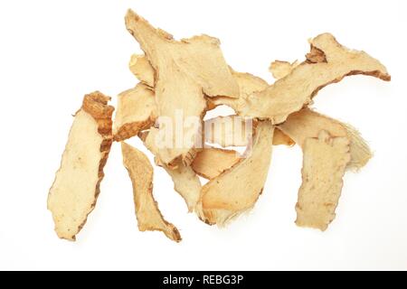 Medicinal plant Common Anemarrhena (Anemarrhena asphodeloides), Zhi Mu, dried roots Stock Photo