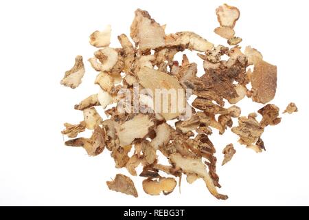 Medicinal plant Common Anemarrhena (Anemarrhena asphodeloides), Zhi Mu, dried roots Stock Photo