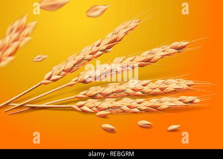 Realistic wheat oats elements. detailed barley isolated on golden background for Healthy food or agriculture design. Vector 3d illustration. Stock Vector