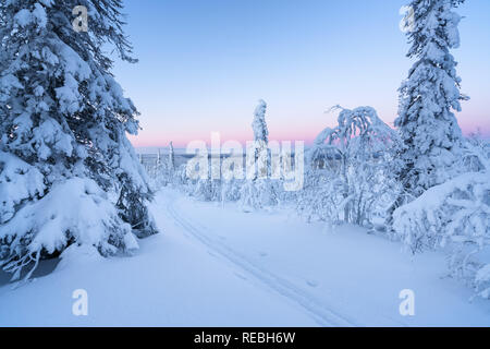 At Korvatunturi fjell, Lapland, Finland, Europe Stock Photo