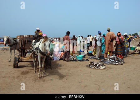 M'bour, Senegal.  Landed fish being traded on the beach.  Horse drawn carts carry ice blocks down to the boats from nearby trucks.  Fishermen load pir Stock Photo