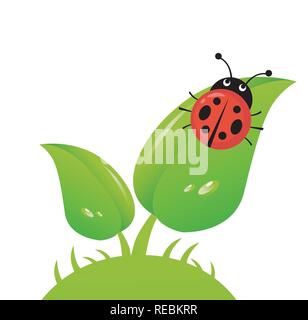 Vector illustration of a ladybug on a leaf Stock Vector