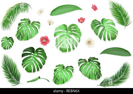 Tropical leaves set Stock Vector