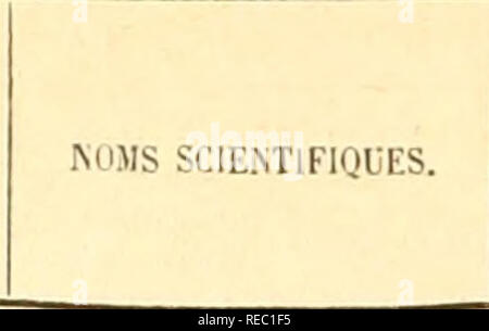 . EncyclopÃ©die d'histoire naturelle; ou, traitÃ© complet de cette science d'aprÃ¨s les travaux des naturalistes les plus Ã©minents de tous les pays et de toutes les Ã©poques: Buffon, Daubenton, LacÃ©pÃ¨de, G. Cuvier, F. Cuvier, Geoffroy Saint-Hilaire, Latreille, De Jussieu, Brongniart, etc. Natural history. ENCYCLOPÃDIE D'HISTOIRE NATERELLE. ^o,Ms vui.GAinrs.. II.I.LSTIUTIONS. HORS TEVTE. CliÃ©loniens j Clielonii ChÃ©loniens fossiles Chelom fossiles C liÃ©lonocliompsicns -. Clielonocliiimpsii. CliÃ©lopoile Clwlopodes ... CliÃ»ljile malamala .., ChÃ©ljdie serpenliiic Clilyosiuricns Cliei'se Cl Stock Photo