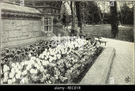 Conard's Spring The 1924 Conard Star Roses catalog features various rose varieties ...