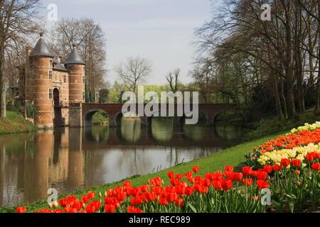 Grand-Bigard castle, tulip field, Brabant province, Belgium, Europe Stock Photo