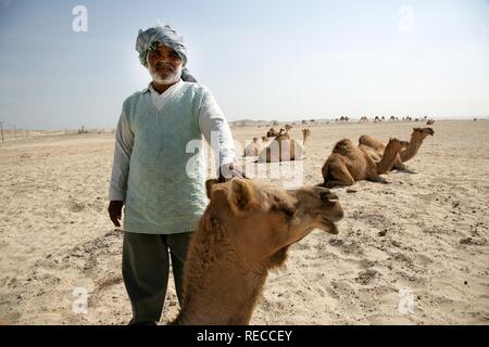 Cameleer in the desert near Awali, Kingdom of Bahrain, Persian Gulf Stock Photo