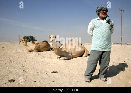 Cameleer in the desert near Awali, Kingdom of Bahrain, Persian Gulf Stock Photo