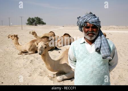 Cameleer in the desert near Awali, Kingdom of Bahrain, Persian Gulf Stock Photo