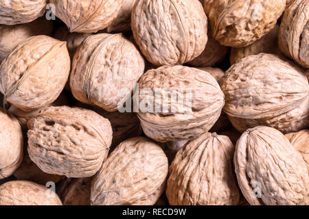 Walnuts in a shell background, close-up, top view Stock Photo