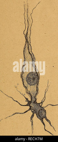 'Comptes rendus des sÃ©ances de la SociÃ©tÃ© de Biologie' (1853-1854 ...