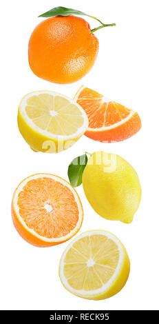Flying fresh lemon and orange fruit isolated on white background with clipping path as package design element and advertising. Full depth of field. Stock Photo