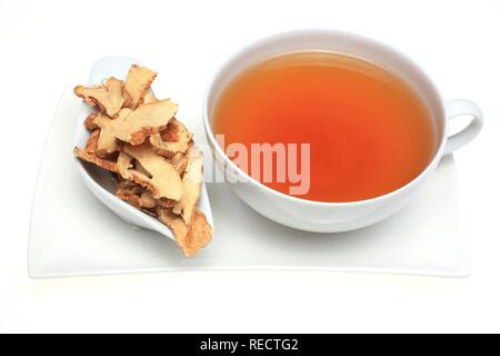 Herbal tea made of the dried roots of the medicinal plant common anemarrhena, Chic-Mu, Zhi Mu, Anemarrhena asphodeloides Stock Photo