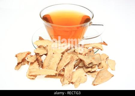 Herbal tea made of the dried roots of the medicinal plant common anemarrhena, Chic-Mu, Zhi Mu (Anemarrhena asphodeloides) Stock Photo