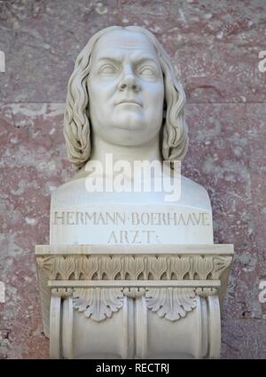 Bust of Hermann Boerhaave, Dutch physician Stock Photo
