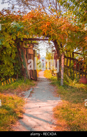 A small wooden gate covered with bushes on all sides Stock Photo