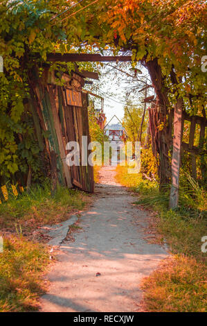 A small wooden gate covered with bushes with autumn hues on all sides Stock Photo