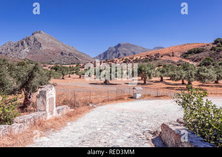 Greek landscape. Rural summer scene with road going near beautiful large valley with old olive tree plantation at the foot of mountain range in Crete  Stock Photo