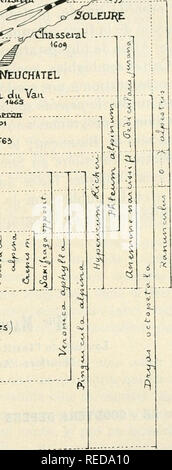 . Compte rendu. Science; Science -- Congresses. ^ l ' - i 1^ 1 5 i ^ ^^J..f.-.-'?- iSdlÃ¨ve (Athiii Je Lcft d'espÃ¨ces) iColoinbi'pr -1534 hianÃ¯ du CKat 1637 CHAMBERy. Carte nÂ° 4. â Exemple de Carte pour programme d'herborisation. Excursions botaniques au Chasserai (ujoS), au Creu-du-Van (1909), au Chasscron (1911), au Suchet (1910, 1911). au Mont d'Or (1896, 1900, 1908), Ã la Dent de Vaulion (1897, 1910), Ã la DÃ¹le (1898, 1912). Rapports de la Flore culminale. extrÃ©mitÃ©s de l'arc; on voit, en particulier pour le Primiila auricula, que ses deux plages se rattachent, la mÃ©ridionale, aux p Stock Photo