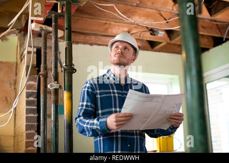 Architect Inside House Being Renovated Studying Plans Stock Photo